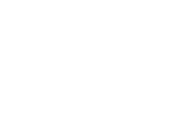 Logo Domus